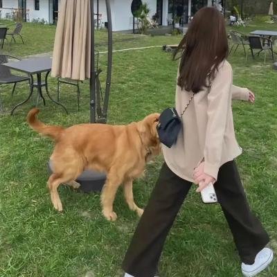 地狱犬